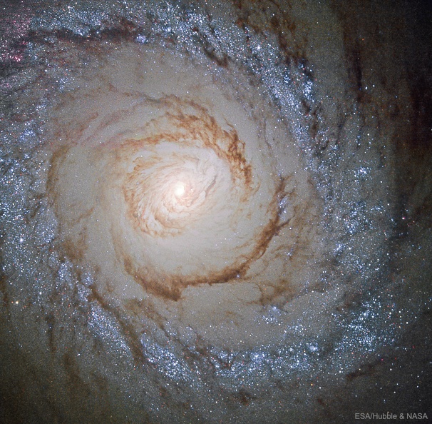 M94_Hubble_1002.jpg