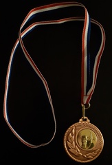 Médaille de Bronze Pleumeleuc