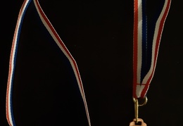 Médaille de Bronze Pleumeleuc