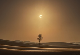 A Desert Eclipse 