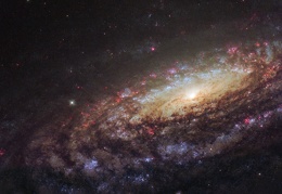 NGC 7331 Close Up 