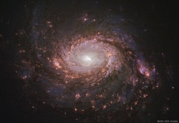 M77: Spiral Galaxy with an Active Center 