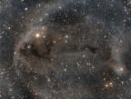 Lynds Dark Nebula 1251