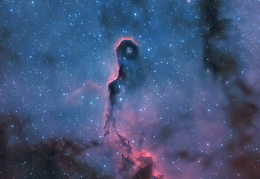 The Elephant's Trunk Nebula in Cepheus 