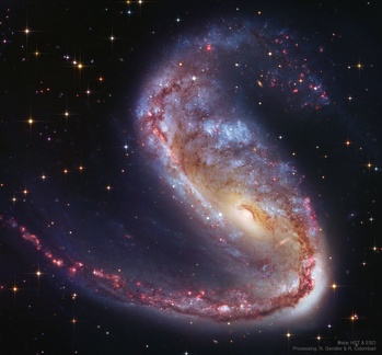 NGC 2442: Galaxy in Volans 
