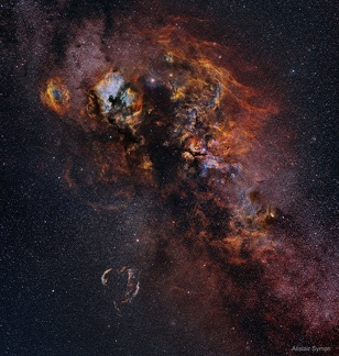 Cygnus Skyscape