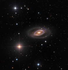 Spiral Galaxy NGC 1350 