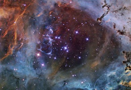 NGC 2244: A Star Cluster in the Rosette Nebula