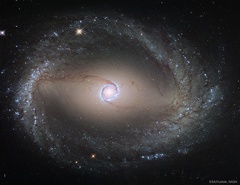 Spiral Galaxy NGC 1512: The Inner Rings 