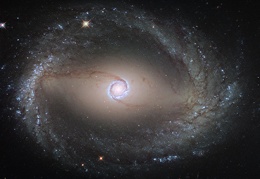 Spiral Galaxy NGC 1512: The Inner Rings 